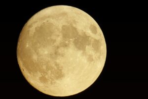 0歳向けおもちゃのサブスク比較でおすすめは？