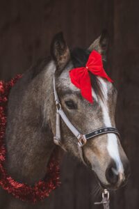 1歳向けのコスパ最強なおもちゃサブスクは？